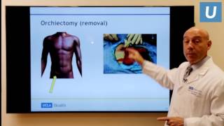 Testicular Cancer What You Really Need to Know  Mark Litwin MD MPH  UCLAMDChat [upl. by Ahsyt]