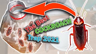 The Best Cockroach Traps 2021 [upl. by Norok]