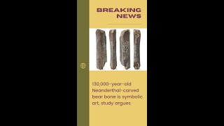 130000yearold Neanderthalcarved bear bone is symbolic art study argues [upl. by Nahsaj]