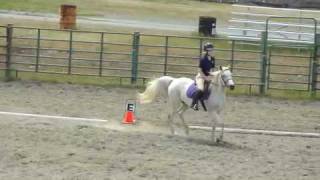 Dressage Training Level Test 1 [upl. by Inol]