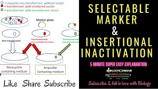 Selectable Marker Definition  How Selectable Marker helps in selection of recombinant colonies [upl. by Jamel]