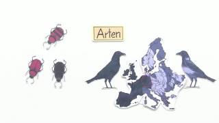 DIE ENTSTEHUNG VON ARTEN  Biologie  Evolutionsbiologie [upl. by Eihctir]