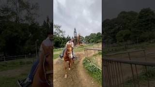 PICNIC GROOVE TAGAYTAY  HORSE BACK RIDING 110123 tagaytay philippines horseriding picnicgrove [upl. by Meedan]