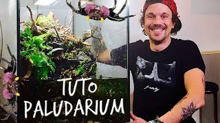 TUTO PALUDARIUM  UN PARADIS POUR MES CRABES VAMPIRES  TOOPET [upl. by Almeida]