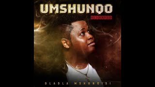 Umshunqo Reloaded EP DladlaMshunqisi new mix [upl. by Atinehc309]