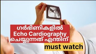 Fetal Echo cardiography എന്തിനാണ് ചെയ്യുന്നത് കുഞ്ഞിന് എന്തെങ്കിലും പ്രശ്നം ഉണ്ടാകുമോ [upl. by Leggat799]