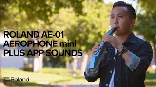 Roland AE01 Aerophone mini Plus App Sounds [upl. by Leimaj]