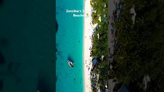 Zanzibar’s Majestic Beaches travel tanzaniatourism tanzania zanzibar beach shorts trending [upl. by Jaclin]