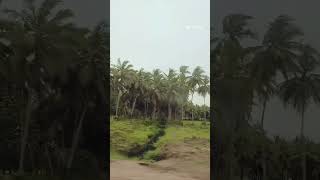 konaseema Andalu Best Tourist places in Andhra Pradesh 💝 [upl. by Alekin159]