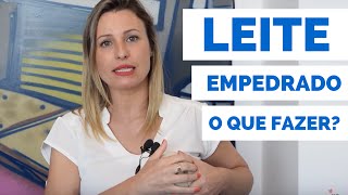 Amamentação  leite empedrado o que fazer [upl. by Rema52]