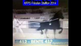 KFPS Friesian Stallion BENTE 412 Hengstenkeuring 2014 [upl. by Ardnalahs]