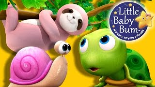 Things That Go Slow  Nursery Rhymes for Babies by LittleBabyBum  ABCs and 123s [upl. by Quenna]