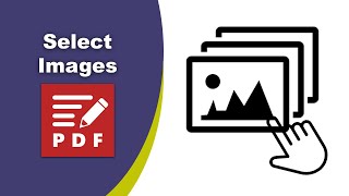 How to Select and Highlight an Image in a PDF File in PDFXChange Editor [upl. by Ticknor]