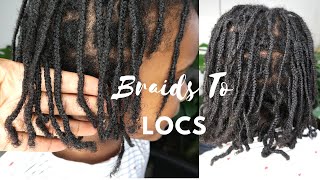 STARTING LOCS WITH BRAIDS  BRAID LOCS  3 MONTHS LOCD [upl. by Eintrok]