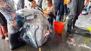 800 lb giant bluefin tuna cutting showamazing meat cutting skills [upl. by Acinorahs341]