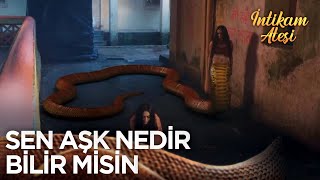 Dost Kazığı Diye Buna Derler 🙄 İntikam Ateşi 3 Sezon 26 Bölüm [upl. by Ennaed]