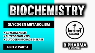 Glycogen Metabolism Pathway  Glycogenesis  Glycogenolysis  Glycogen Storage Disease  B Pharma [upl. by Eninaj110]