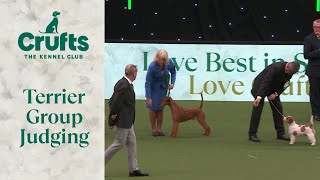 Terrier Group Judging  Crufts 2024 [upl. by Ernest819]