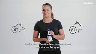 Como aplicar Frontline Spray no seu cão ou gato e protegêlo contra pulgas e carrapatos [upl. by Kcinnay]