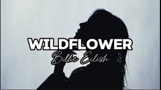 WILDFLOWER  Billie Eilish lyrics [upl. by Zandra]