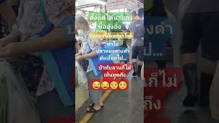 ปลาหมอคางดำหายไป automobile มาแรง funny ตลก คลายเครียด streetfood [upl. by Annahael]