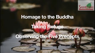 Puja  Homage to Buddha Three Refuges amp Five Precepts  Sambodhi [upl. by Platas]