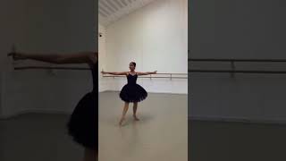 gamzatti variation TringParkSchool ballet ballerina [upl. by Ellehcram]