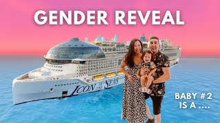 Excitement at sea Our baby 2 gender reveal on Icon of the Seas [upl. by Nueormahc838]