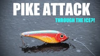 Pike Attacks Lure Through the Ice  UNBELIEVABLE [upl. by Birmingham]