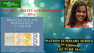 MUTABILITY AND REPAIR OF DNA Chap10 Lecture6 WatsonSummarySeries Repair and tolerance [upl. by Emsoc305]