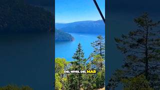 Conoce el Malahat skywalk de Victoria BC Canada 🇨🇦 [upl. by Mary542]