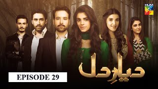 Diyar e Dil Episode 29 HUM TV Drama [upl. by Apollo]