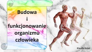 Budowa i funkcjonowanie organizmu człowieka w skrócie  prezentacja multimedialna [upl. by Nerine]