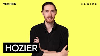 Hozier “Take Me to Church” Official Lyrics amp Meaning  Verified [upl. by Neel957]