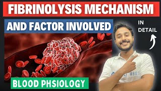 Fibrinolysis physiology  Thrombolysis physiology  Thrombolytic system  physiology [upl. by Albertina]