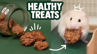 DIY Healthy Hamster Treats  Apple amp Walnut Bites [upl. by Einavoj]