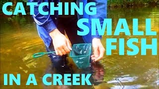 Net Worth Creek Fun With Small Fish [upl. by Audette]