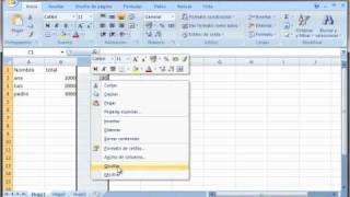 Excel ocultar y mostrar celdas  wwwofimaticaparatorpescom [upl. by Enttirb]