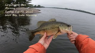 Largemouth Bass  morning fishing Lake Nipissing September 2020 15 [upl. by Tisbee]