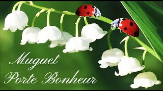 muguet porte bonheur 🌹🌹🌹 Histoire du muguet porte bonheur du 1er mai [upl. by Enalahs]