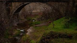 River Sounds in the Tbilisi Botanical Garden LXVIII  Georgia [upl. by Wedurn]