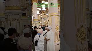 Shalat dan berdoa di Raudhah Taman Surga di masjid Nabawi Madinah MadinahMekahumrah travel [upl. by Eshman]