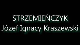 Strzemieńczyk  Józef Ignacy Kraszewski  Audiobook PL [upl. by Ennaeed]