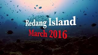 Scuba Diving  Redang Island Malaysia  25 to 27 March 2016 by Maskervers [upl. by Bettye]