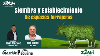 ✅ Siembra y establecimiento de especies forrajeras [upl. by Rento]