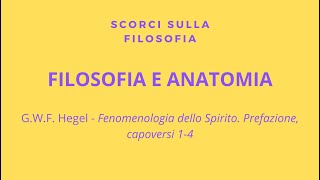 Hegel  Filosofia e anatomia [upl. by Nathanson]