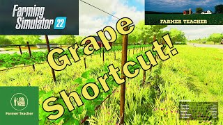 Mulching and Cultivating Grapes Made Easy on FS22 [upl. by Thain938]