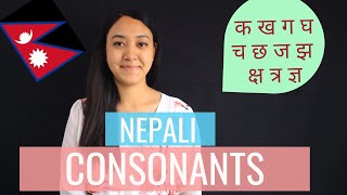 2 Learn Nepali for Beginners  Nepali Consonants [upl. by Learsi]