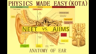 ANATOMY OF THE EAR AND HEART AUDITORY OSSICLES SEMICIRCULAR CANALS VESTIBULE COCHLEA FOR NEET6 [upl. by Eph248]