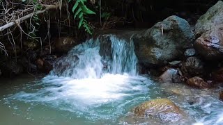 Clear River ASMR  Running Water Sounds for Deep Meditation [upl. by Ardnuas]